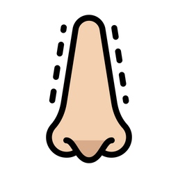 Nose  Icon