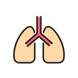 Pulmões  Ícone