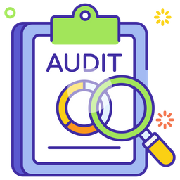 Audit  Icon