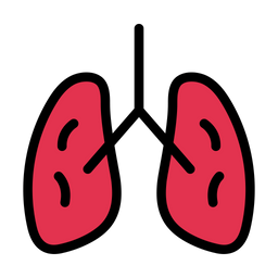 Liver  Icon