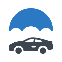 Car Insurance  Icon