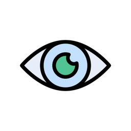 Eye  Icon