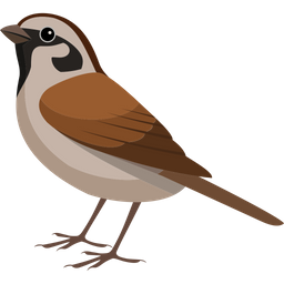 Asian Sparrow  Icon