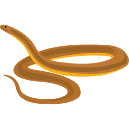 Anaconda  Icon