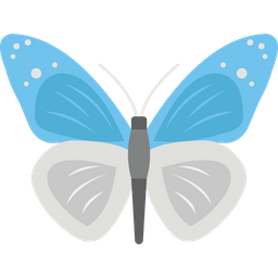 Butterfly  Icon