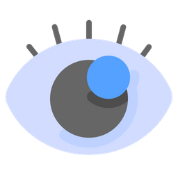 Ojo  Icono