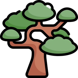 Bonsai  Symbol