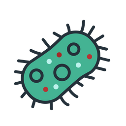 Bacteria Cell  Icon