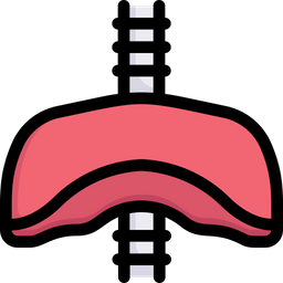 Diaphragm  Icon