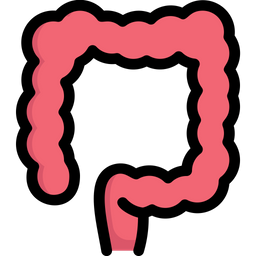 Colon  Icon