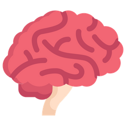 Brain Side  Icon