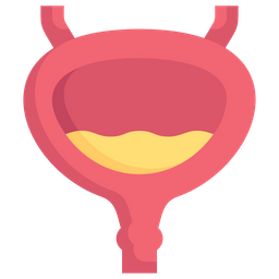 Bladder  Icon