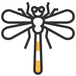 Dragonfly  Icon