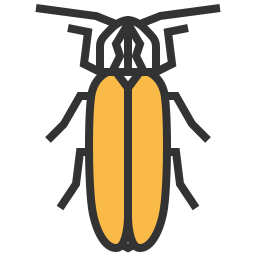 Firefly  Icon