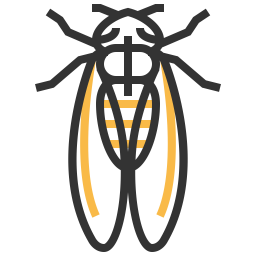 Cicada  Icon