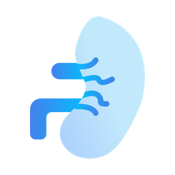 Kidney  Icon