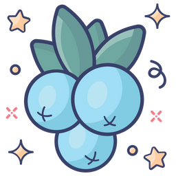 Blueberries  Icon