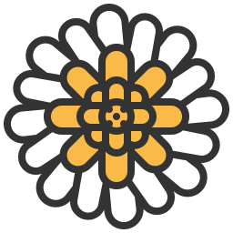 Gerbera  Icon