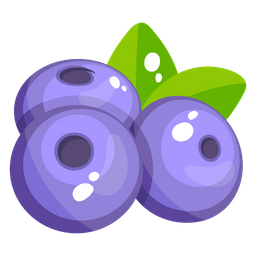 Blueberries  Icon