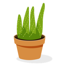 Aloe Plant  Icon