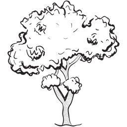 Natural Tree  Icon