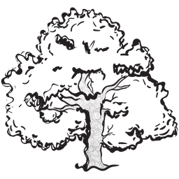 Natural Tree  Icon