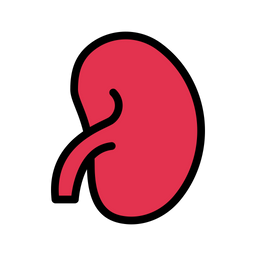 Kidney  Icon