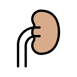 Kidney  Icon