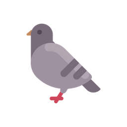 Pigeon  Icon