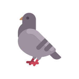 Pigeon  Icon