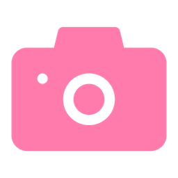 Camera  Icon