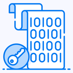 Data Encryption  Icon