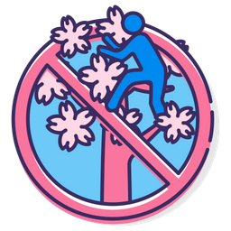 Donot Climb Sakura Trees  Icon