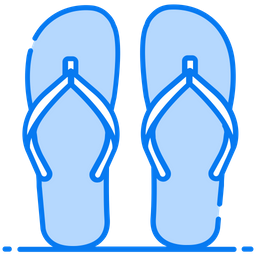 Flip Flops  Icon