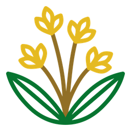 Flower  Icon