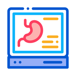 Diagnostic Scan Stomach  Icon