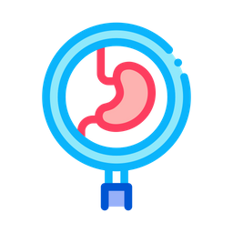 Detailed Study Stomach  Icon