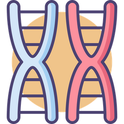 Chromosom  Symbol