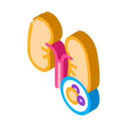 Kidney Cancer  Icon