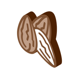 Cocoa Beans  Icon