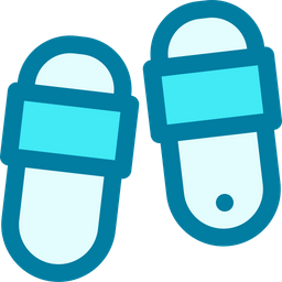 Flip Flops  Icon