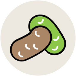 Bean  Icon