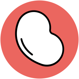 Bean  Icon