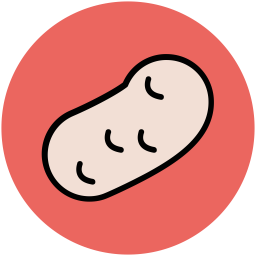 Bean  Icon