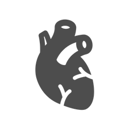 Heart Anatomy  Icon