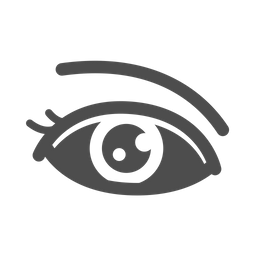 Eye  Icon