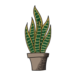 Cacto sansevieria  Ícone