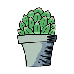 Beauty Cactus  Icon