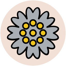 Anemone  Symbol