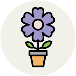 Anemone  Icon